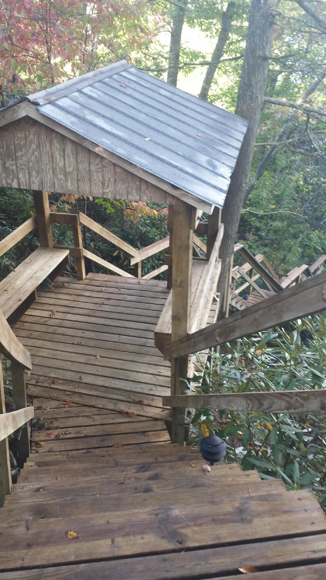 Metal roofed shelter over wooden steps on a wooded walkway — Skylight Repair & Installation work by our crew in Bainbridge